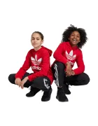 adidas Originals Детски панталон в черно с апликация
