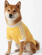adidas Originals домашен любимец Pet Cali KY8731