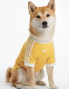 adidas Originals домашен любимец Pet Cali KY8731