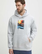 adidas Originals Суичър в сиво с качулка с принт IS2907