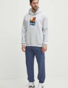 adidas Originals Суичър в сиво с качулка с принт IS2907