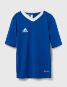 adidas Performance Детска тениска ENT22 JSY Y