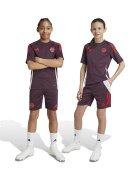 adidas Performance Детски къси панталони FCB TR SHO