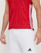 adidas Performance Къс панталон за трениране Entrada 22
