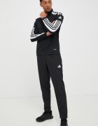 adidas Performance Панталон за трениране Entrada 22