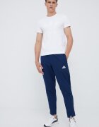 adidas Performance Панталон за трениране Entrada 22 HB5329