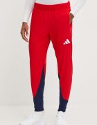 adidas Performance Панталон за трениране Polska
