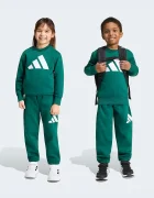 adidas спортен комплект анцуг за деца с памук зелен KT3329