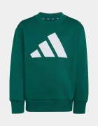 adidas спортен комплект анцуг за деца с памук зелен KT3329