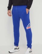 adidas Спортен панталон