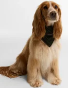 Barbour бандана за куче DAC0135
