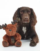 Barbour Играчка за куче Reindeer Toy 19 cm в кафяво