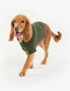 Barbour Кучешки пуловер Saltburn Dog Jumper в зелено