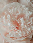botané Изкуствен букет Декоративен 32 x 25 cm BOT-BOU-140