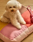 Calma House Кучешка възглавница Buby S