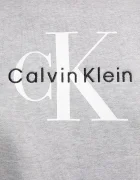 CALVIN KLEIN JEANS суичър дамски с памук сив LV047B234G