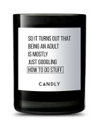 Candly Ароматна соева свещ So it turns out that being an adult is mostly just googling how to do stuff 250 g