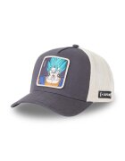 Capslab Шапка с козирка x Dragon Ball