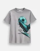 Coccodrillo тениска за деца от памук сива EVERYDAY BOY A