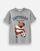 Coccodrillo тениска за деца с памук сива EVERYDAY BOY B