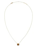 Daniel Wellington Бижута