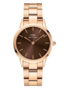 Daniel Wellington Часовник Iconic Link Amber 32 дамски в златисто