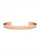 Daniel Wellington Гривна