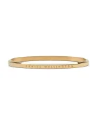 Daniel Wellington Гривна