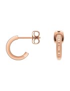 Daniel Wellington Обици