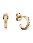 Daniel Wellington Обици