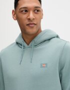 Dickies Суичър мъжки в зелено с качулка с изчистен дизайн DK0A4XCDL371