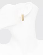 Elisabetta Franchi Обици OR26K61E2