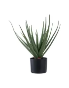 House Nordic Изкуствено растение в саксия Aloe Vera