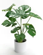 Inne Изкуствено растение в саксия home & lifestyle 10 x 39 cm в зелено 155812