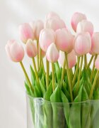 J-Line Изкуствени цветя Bouquet Tulips (7 броя)
