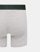 Levi's боксерки мъжки от памук с еластан 2 броя сиви 37149-1296