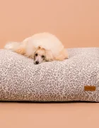 paikka Легло за домашен любимец Bed Stone 125 x 80 x 20 cm 1028024