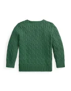 Polo Ralph Lauren пуловер за деца от памук зелен 322702674521