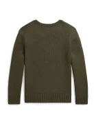 Polo Ralph Lauren пуловер за деца от памук зелен 323B26124001