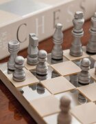 Printworks Шах Art of Chess Mirror