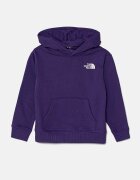 The North Face Детски суичър VERTICAL GRAPHIC OVERSIZED HOODIE