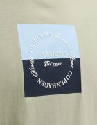 Jack & Jones Jorcatskills Square Branding Tee SSCN LN Green