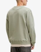 Jack & Jones Jornorrebro Emb Sweat Crew Noos Seagrass