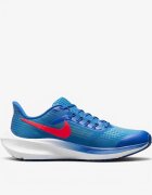 Nike AirZoom Pegasus 39 W Shoes Blue