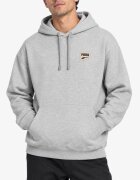 Puma Downtown Graphic Hoodie Gray