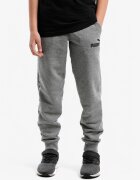 Puma Essentials Logo Pants Grey