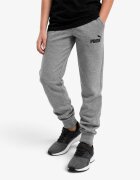Puma Essentials Logo Pants Grey