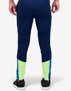 Puma IndividualCUP Training Pants Navy/Blue