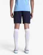 Puma TeamCUP Training Shorts Paris Navy