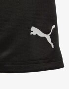Puma x Manchester City Training Short Black